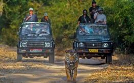 Exclusive Wildlife tour of North India