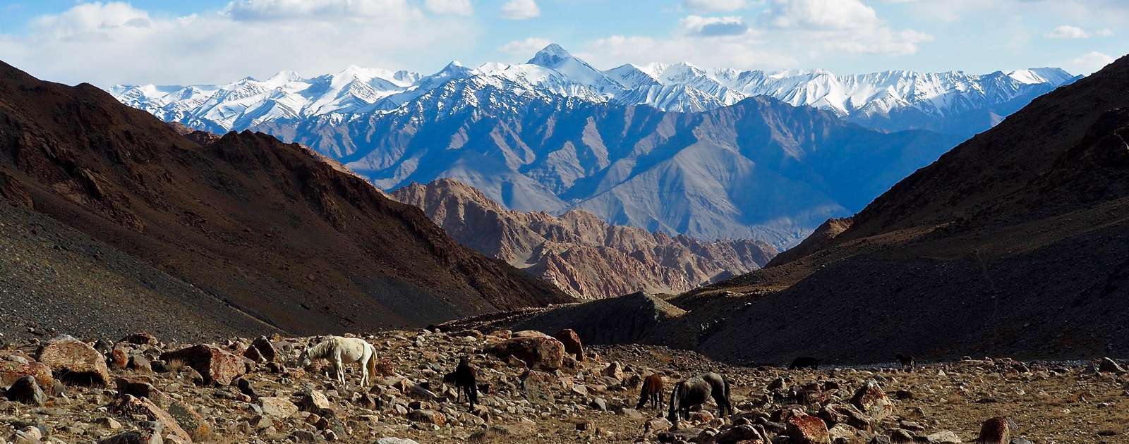 Himalayan Tour of Leh / Laddakh